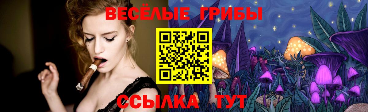 Галлюциногенные грибы ЛСД  Вход с VPN  Скопин 