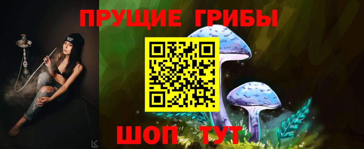Галлюциногенные грибы мухоморы Скопин